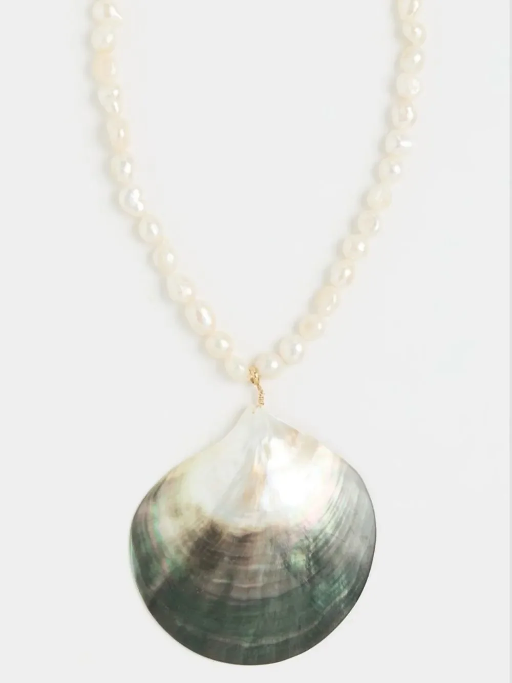 Mayamar delicate freshwater
